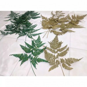 DAUN PAKIS KERING UNTUK BUKET BUNGA, SOUVENIR, HIASAN, INTERIOR RUMAH MURAH