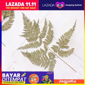 DAUN PAKIS KERING UNTUK BUKET BUNGA, SOUVENIR, HIASAN, INTERIOR RUMAH MURAH